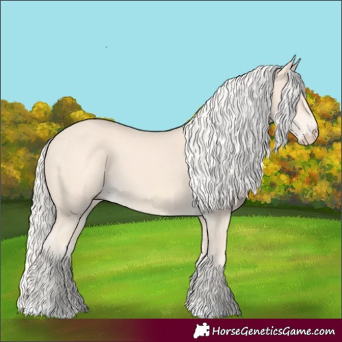Horse Color:Cremello 