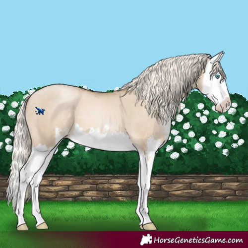 Horse Color:Chocolate Palomino Pearl Dun Sabino Splash 