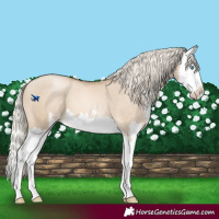 Horse Color:Chocolate Palomino Pearl Dun Sabino Splash