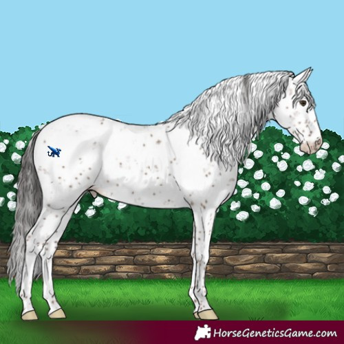 Horse Color:Liver Red Dun Sabino 