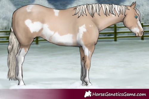 Horse Color:Chocolate Palomino Pearl Tobiano Frame  and Chocolate Palomino Pearl Tobiano Frame 