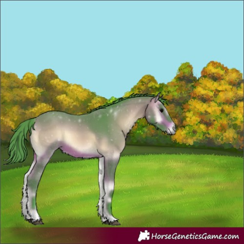 Horse Color:Watercolor Bay Onyx 