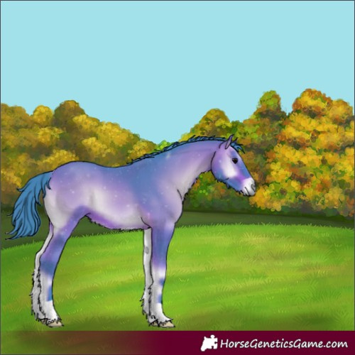 Horse Color:Watercolor Bay Onyx 
