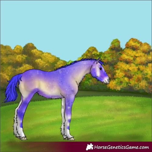 Horse Color:Watercolor Bay Onyx 