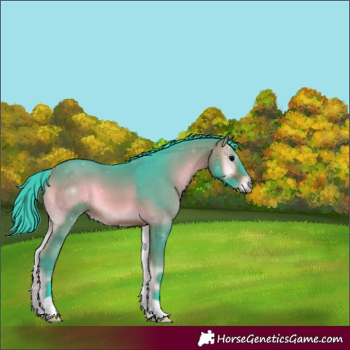 Horse Color:Watercolor Bay Onyx 