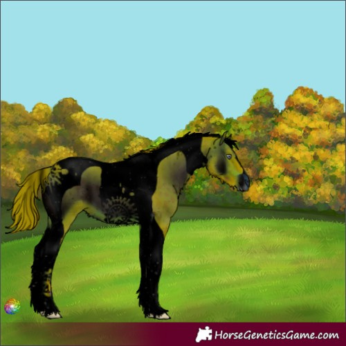 Horse Color:ERROR: UNKNOWN ANOMALY