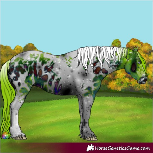 Horse Color:ERROR: UNKNOWN ANOMALY