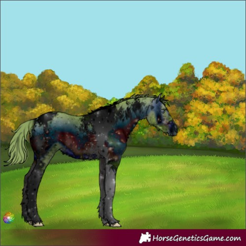 Horse Color:ERROR: UNKNOWN ANOMALY