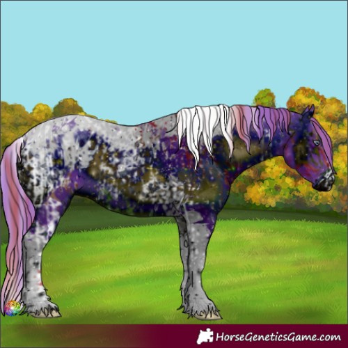 Horse Color:ERROR: UNKNOWN ANOMALY and ERROR: UNKNOWN ANOMALY