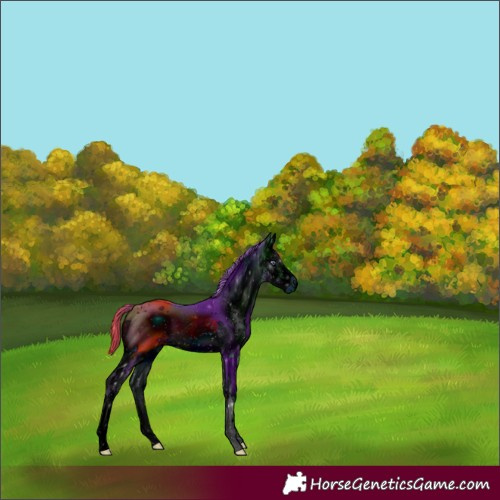 Horse Color:ERROR: UNKNOWN ANOMALY