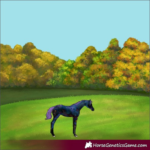 Horse Color:ERROR: UNKNOWN ANOMALY
