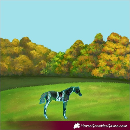 Horse Color:ERROR: UNKNOWN ANOMALY