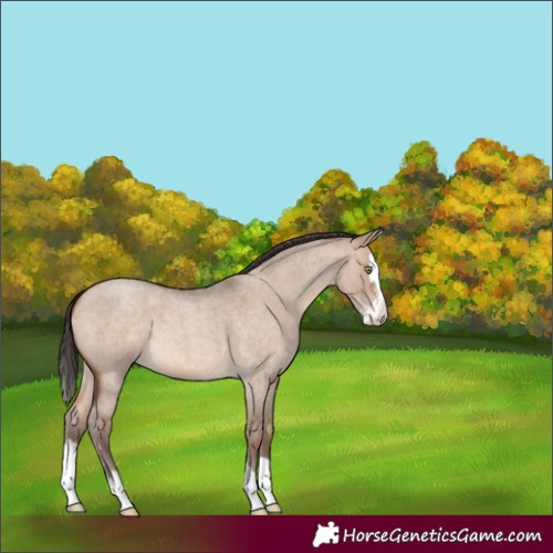 Horse Color:Sable Champagne Roan Dun Sabino Splash