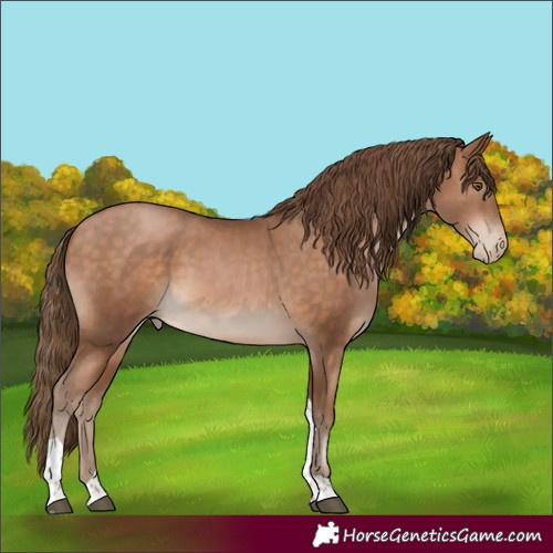 Horse Color:White Spotted Brown Pearl Tobiano 