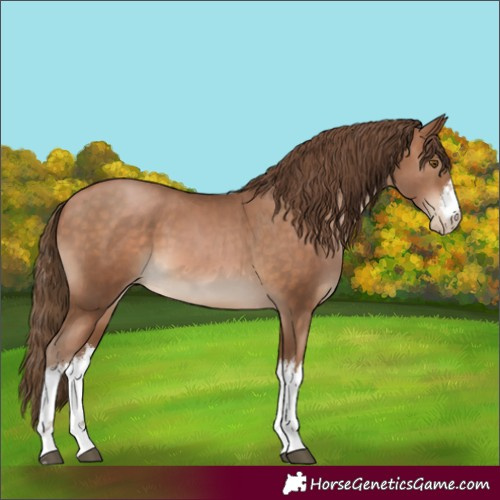 Horse Color:White Spotted Brown Pearl 