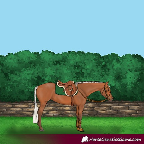 Horse Color:Silver Bay