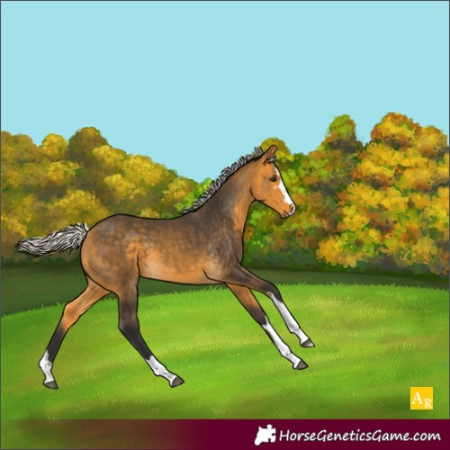 Horse Color:Silver Buckskin 