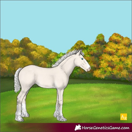 Horse Color:Silver Perlino Dun 