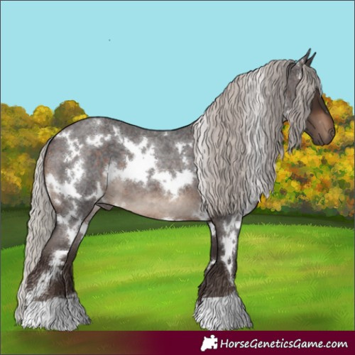 Horse Color:White Spotted Silver Brown Roan