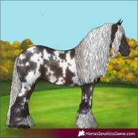 Horse Color:White Spotted Silver Brown 