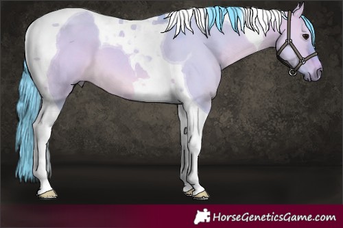 Horse Color:Watercolor Bay Dun Tobiano 