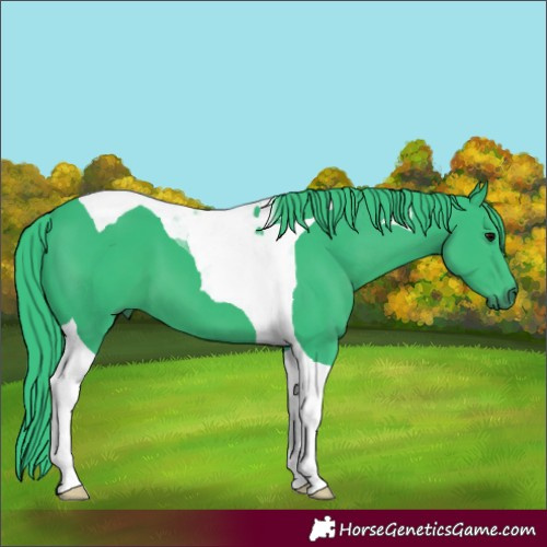 Horse Color:Watercolor Black Tobiano 