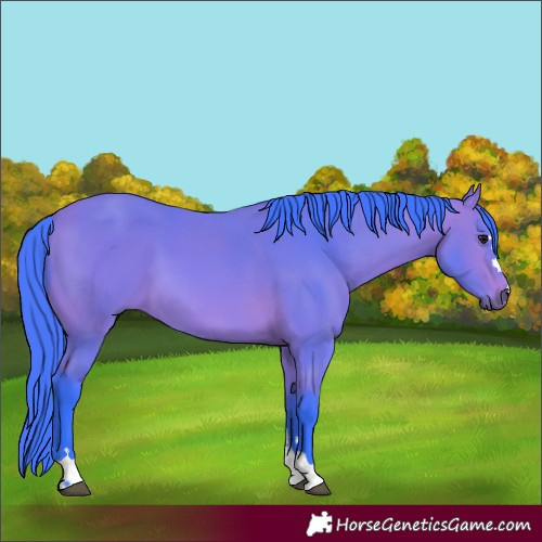 Horse Color:Watercolor Bay 