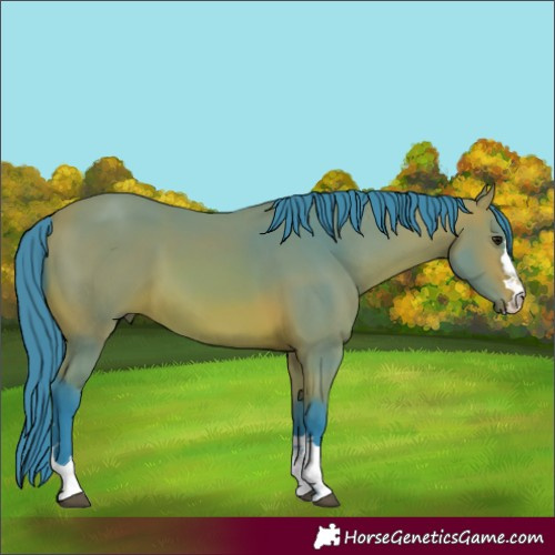 Horse Color:Watercolor Bay 