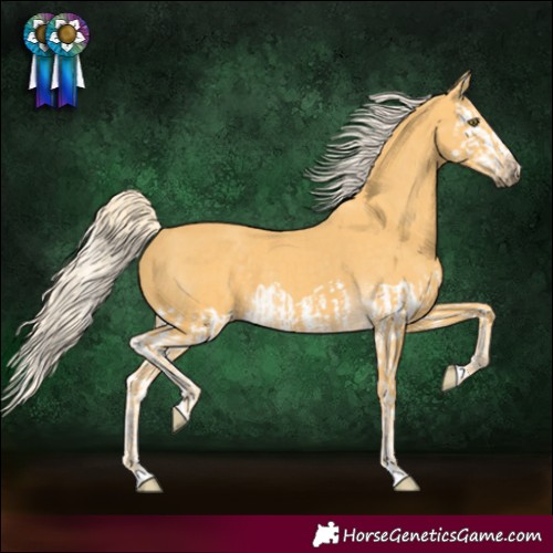 Horse Color:Palomino Splash and Palomino