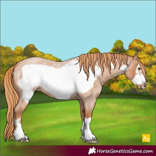 Horse Color:Red Roan Frame 