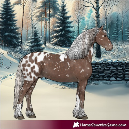 Horse Color:Silver Black Tobiano Skewed Appaloosa 