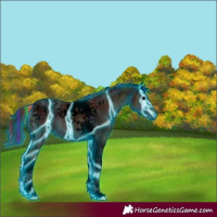Horse Color:Void Painted Thunderstruck Midnight Bay Ice Onyx Tobiano 