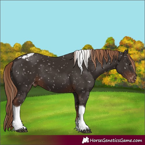 Horse Color:Liver Chestnut Tobiano Snowflake Varnish