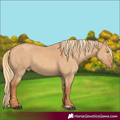 Horse Color:Red Dun Snowflake Varnish 