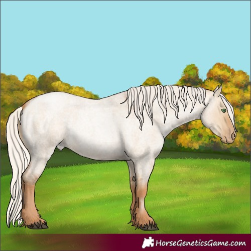 Horse Color:Silver Grullo Roan Pearl Rabicano 