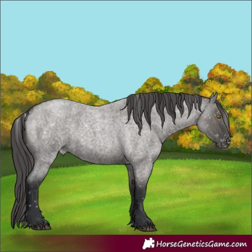 Horse Color:Platinum Grullo Roan Snowflake VarnishRabicano