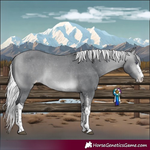 Horse Color:White Spotted Silver Bay Chinchilla Tobiano Varnish 