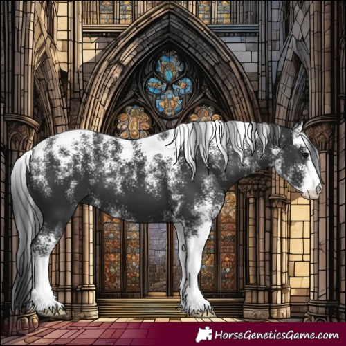 Horse Color:Powder White Black