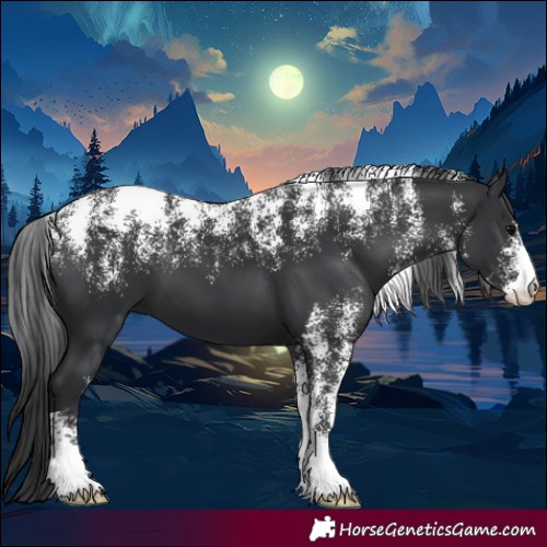 Horse Color:Powder White Black