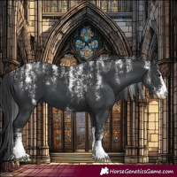 Horse Color:Powder White Black 