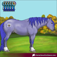 Horse Color:Watercolor Liver Red Dun