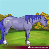 Horse Color:Watercolor Liver Red Dun 