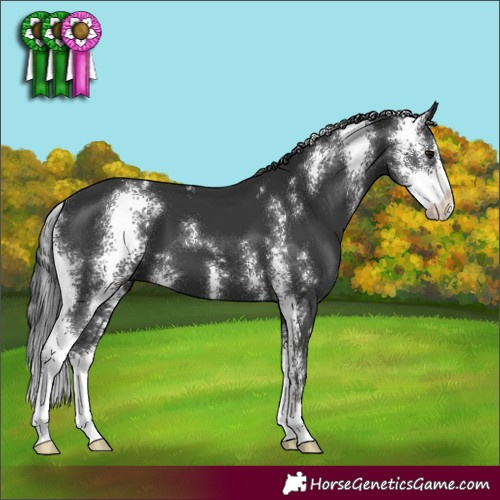 Horse Color:Black Sabino