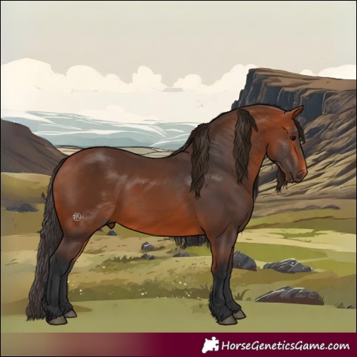 Horse Color:Bay 