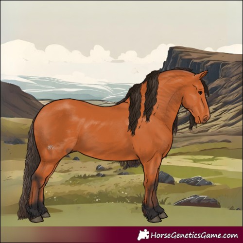 Horse Color:Bay 