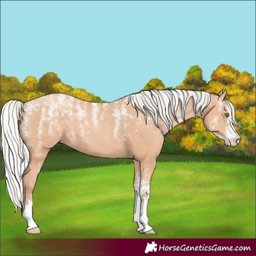 Horse Color:Powder White Silver Amber Champagne 
