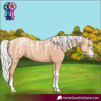 Horse Color:Powder White Silver Amber Champagne 