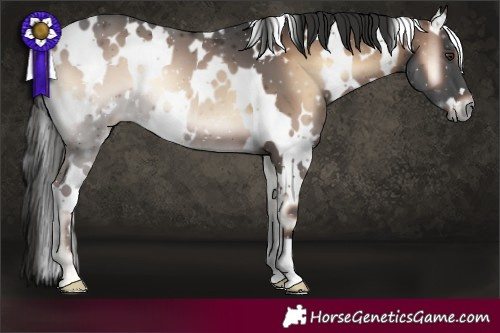 Horse Color:White Spotted Liver Red Onyx 