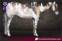 Horse Color:White Spotted Liver Red Onyx