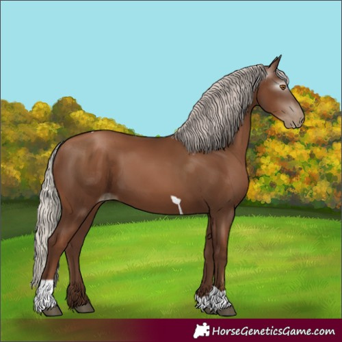 Horse Color:Gray Silver Black Pearl Tobiano 